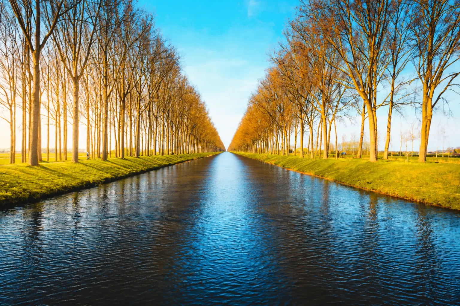 Environmental Resources